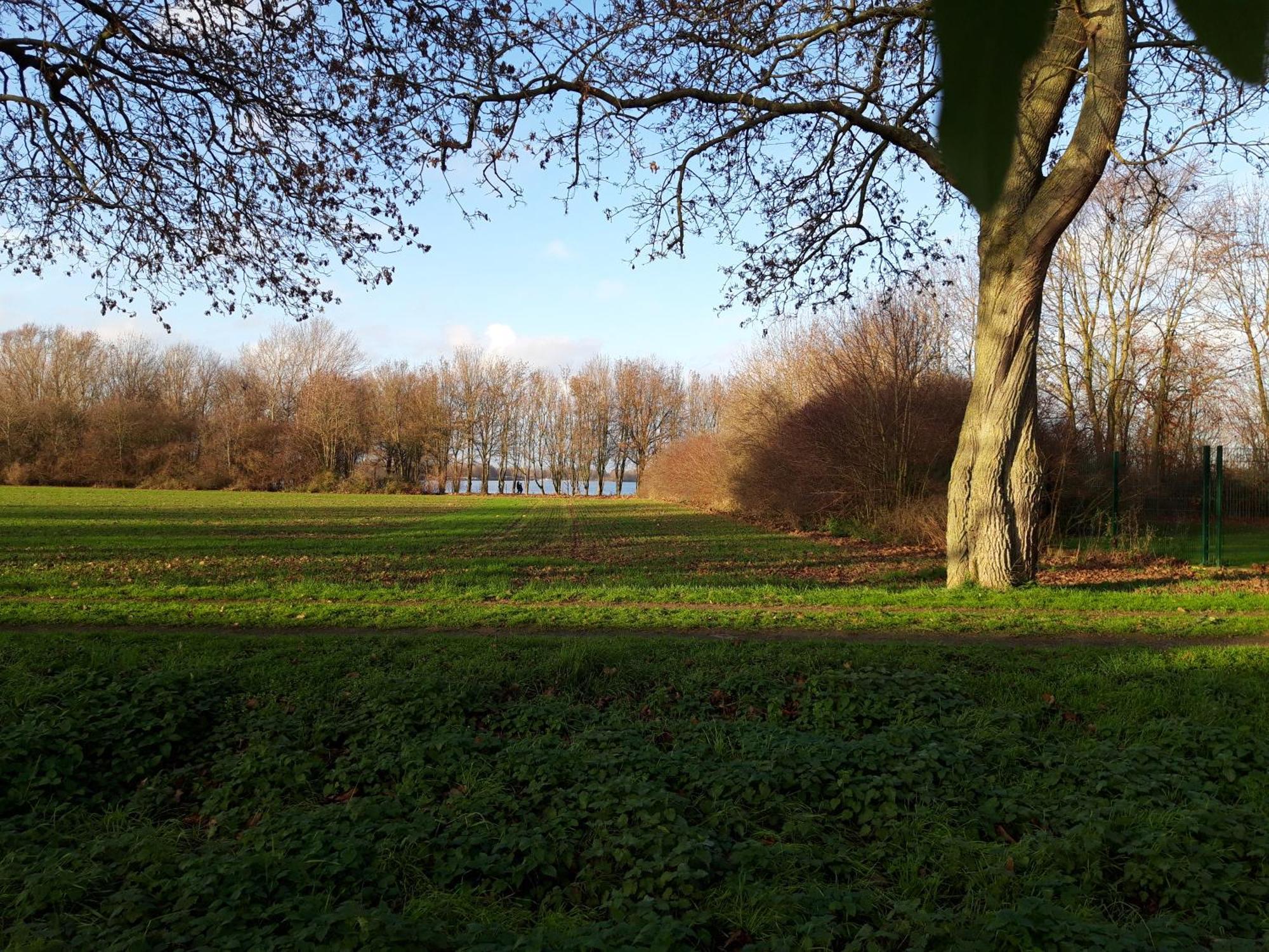 Ferienhaus Xantenamera In Xanten-Wardt Am See Dış mekan fotoğraf